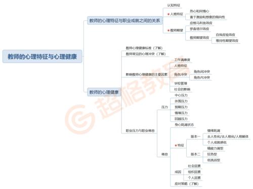 思维导图内容解析：