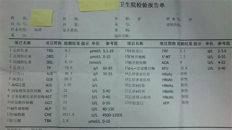 大健康体检报告查询网站