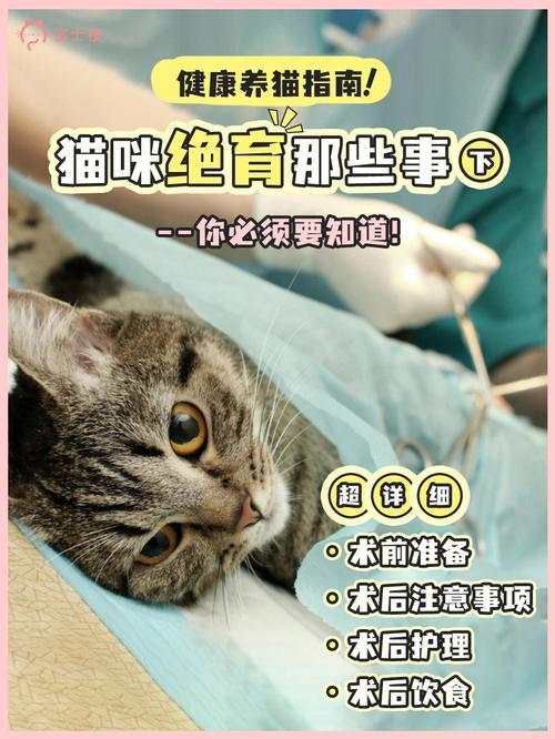 新生猫健康状态怎么看