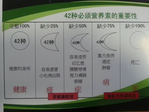 健康减肥的原理