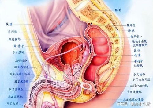 湿热症状吃什么药