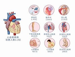 心血管疾病的症状

PPT目录
1.**引言**
2.**心血管疾病概述**
3.**常见心血管疾病类型**
4.**心血管疾病的常见症状**
5.**心血管疾病的早期识别**
6.**预防与管理**
7.**结论**
8.**参考文献**

对应的