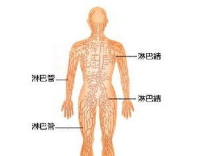 恶性淋巴癌症患者能活多久