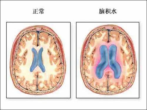 1.学会观察与倾听