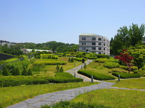 新加坡国际小学学校排名 新加坡留学比较好的小学有哪些？