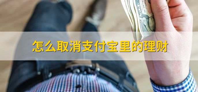 怎么取消支付宝里的理财，有以下两种情况